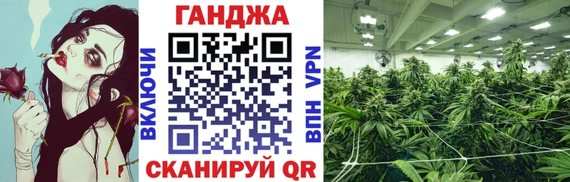 Конопля гибрид  Губкинский 